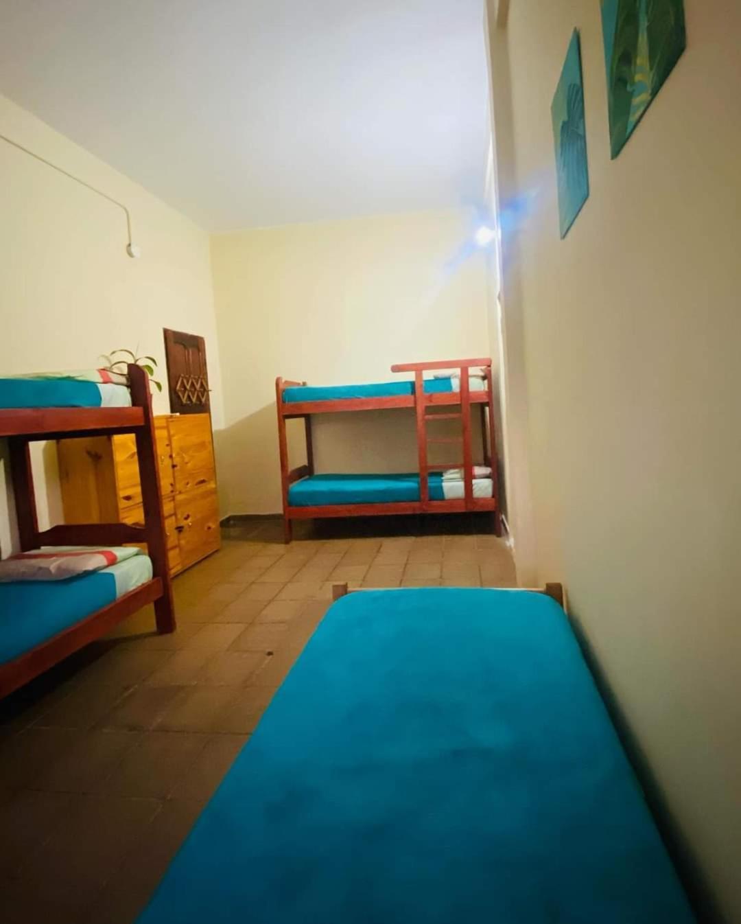 Benteveo Hostel Iguazu Puerto Iguazú Eksteriør billede